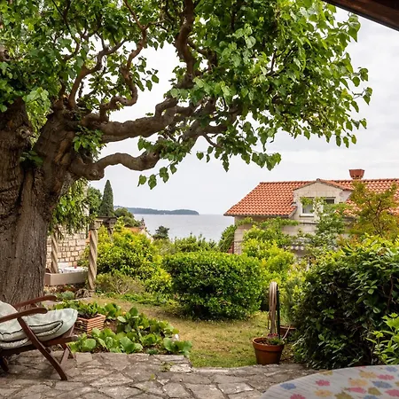 Apartman Petrali *